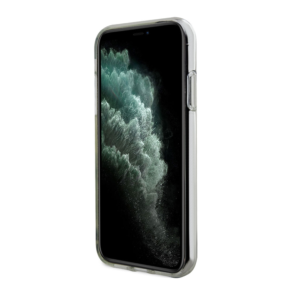 iPhone 11 Kılıf Karl Lagerfeld Transparan Choupette Dizayn Kılıf Renksiz